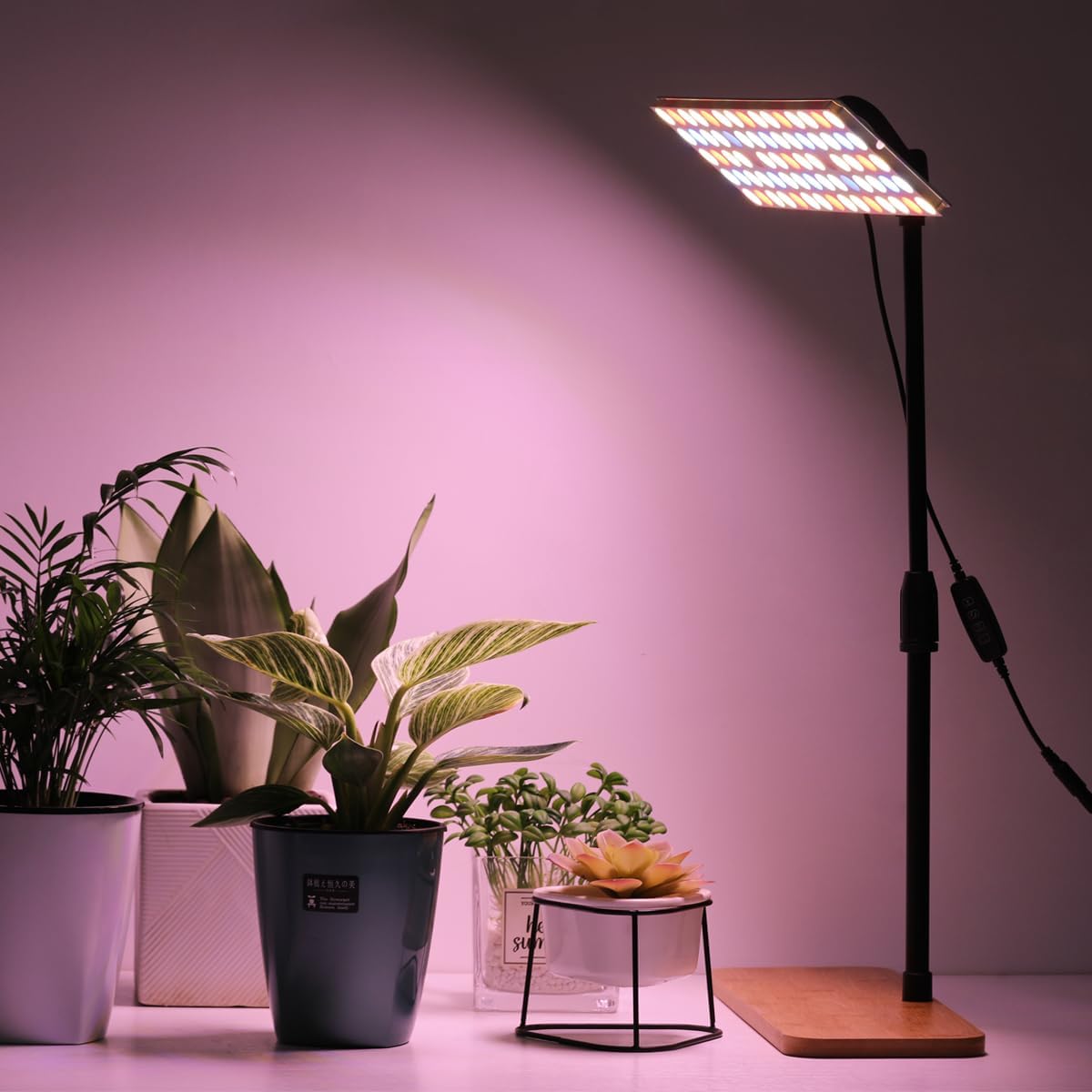 FANHAO Grow Light with Stand, Full Spectrum LED Plant Light for Indoor Plants