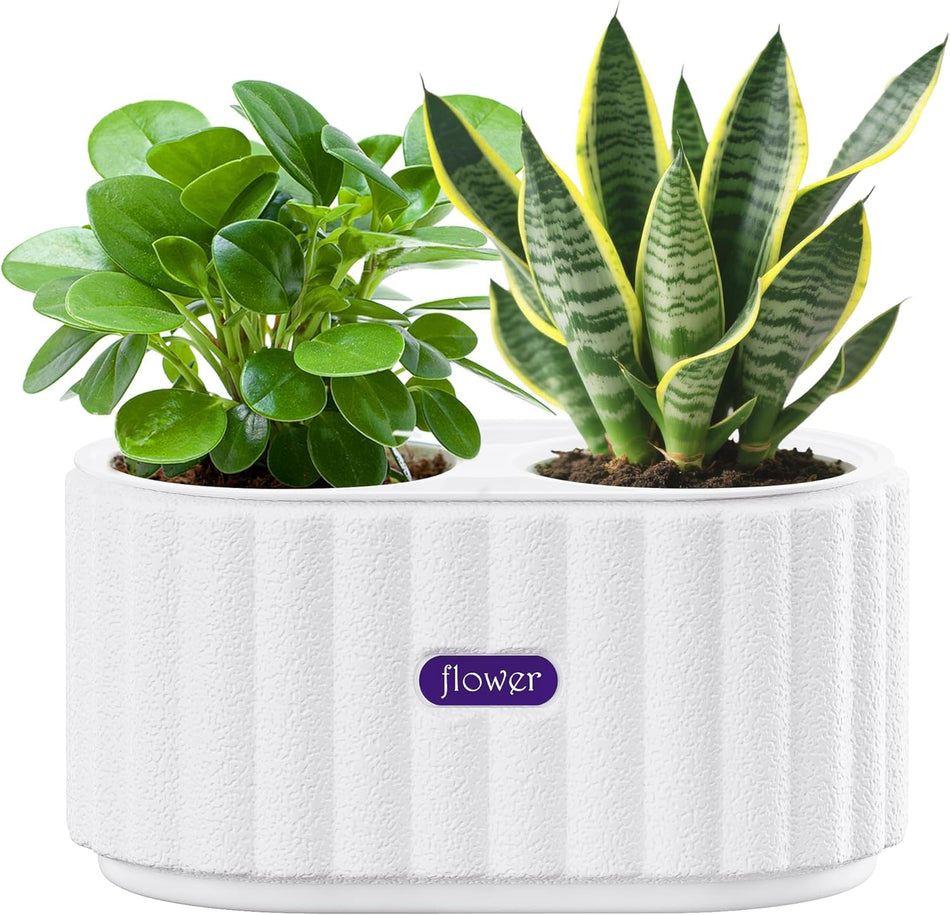 FANHAO 4-Inch Self Watering Planter, Dual Chamber Plastic Plant Pot with Drainage & Wick, Low Maintenance Indoor Flower Pot