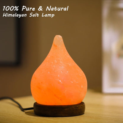 FANHAO Himalayan Salt Lamp with 8 Colors Changing
