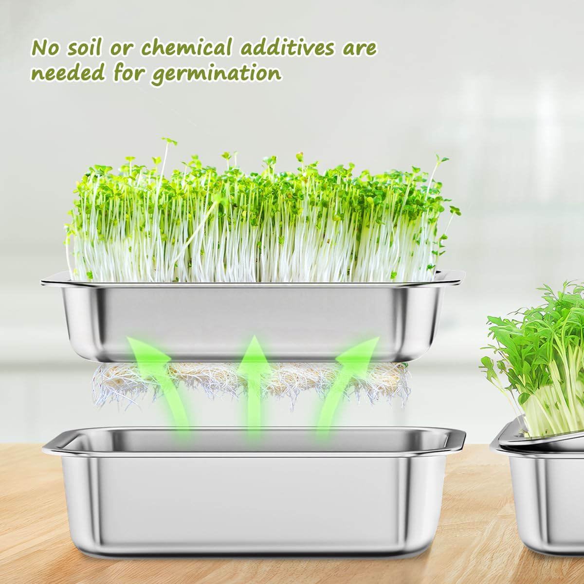 FANHAO 2-Pack Stainless Steel Sprouting Tray - FANHAO