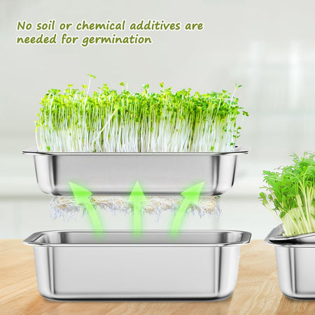 FANHAO 2-Pack Stainless Steel Sprouting Tray - FANHAO