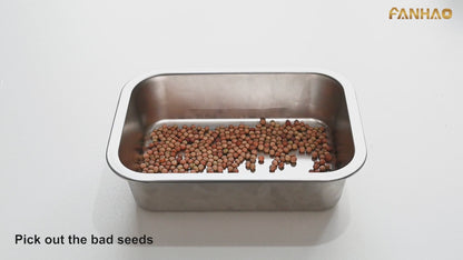 FANHAO 2-Pack Stainless Steel Sprouting Tray